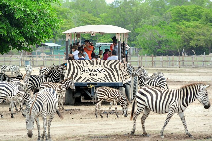 Day pass to Ponderosa Adventure Park  - Photo 1 of 19